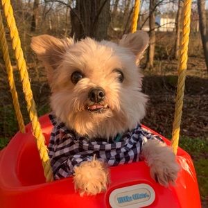 Meet your Posher, Jaynie